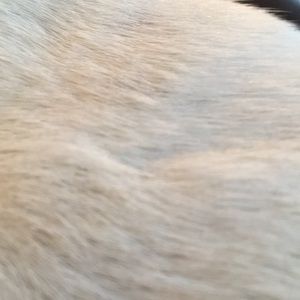 Meet your Posher, Christy